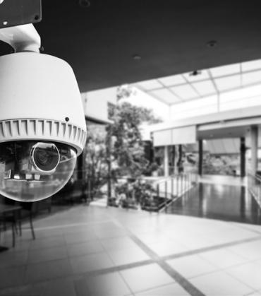 TeCH VALLEY_Profile-5